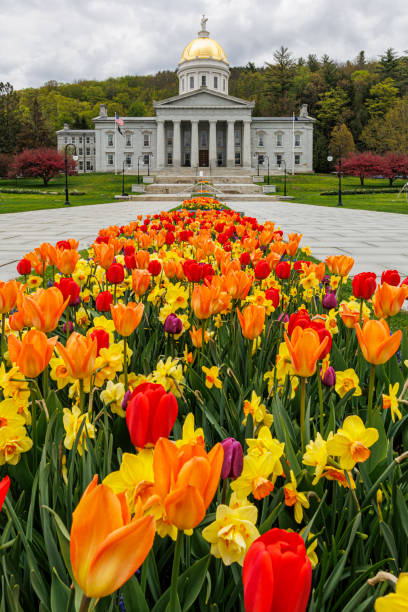 istock Vermont State Capitol building, Montpelier - deep focus 2167482451
