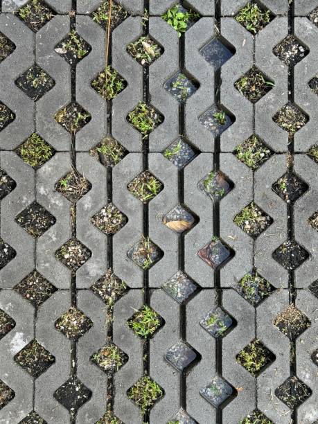 istock The area is paved with cement blocks placed together to form a pattern. 2167485787