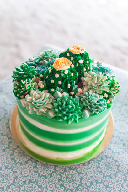 Beautiful and Tasty Buttercream Succulent Cake