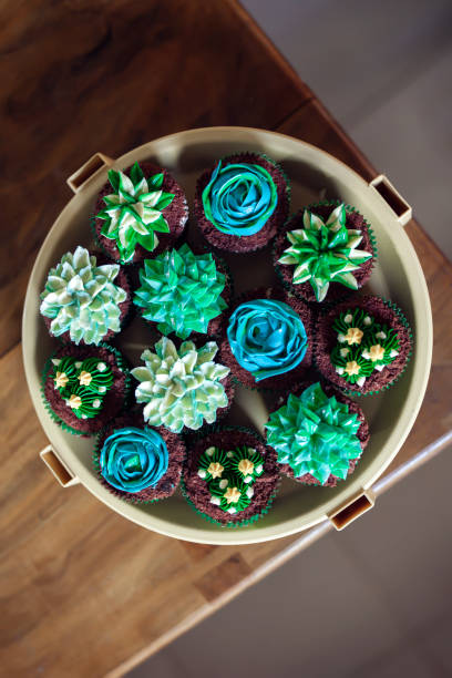 Beautiful Buttercream Succulent Cupcakes