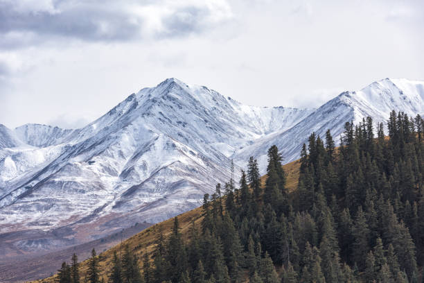 China Qinghai Qilian Snow Mountain Ranch Scenery