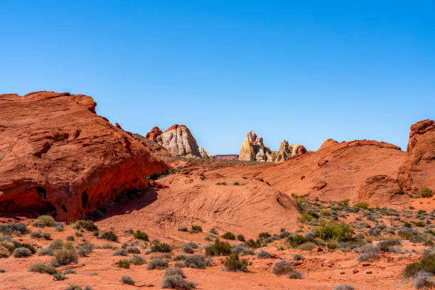 istock Valley of fire state park,, Nevada, USA 2167499771