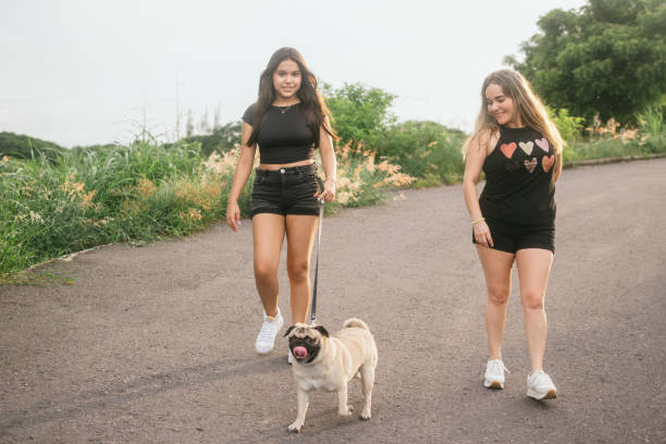 istock Two young women walking a pug dog on a pathway surrounded by greenery. 2167500189