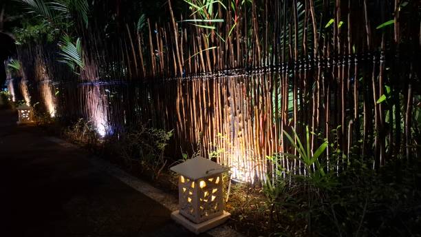 istock Illuminated Pathway in Tropical Garden 2167502930