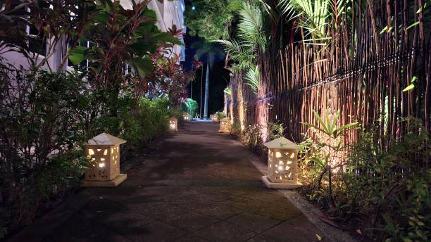 istock Illuminated Path in a Tropical Garden 2167502939