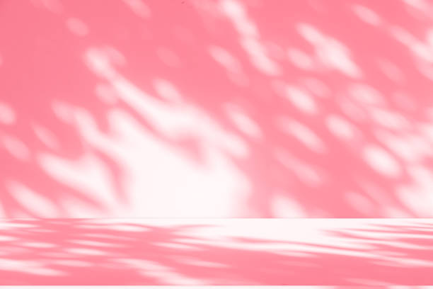 istock Wall interior background, studio, and backdrops show products. with shadow from window color white and pink light. background for text insertion and presentation of product 2167503330