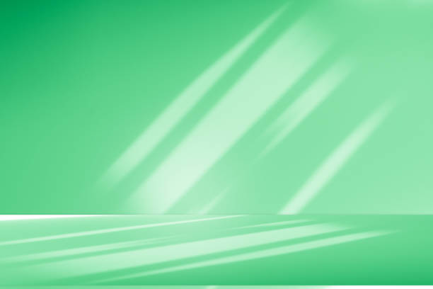 istock Studio style background wall decoration presentation uses white and green tones. with shadows cast from a nearby window, concept creating a decorative 2167503333