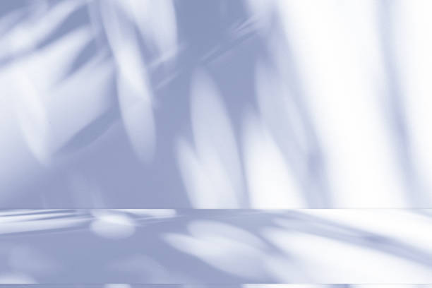 istock Studio style background wall decoration presentation uses white and blue tones. with shadows cast from a nearby window, concept creating a decorative 2167503366