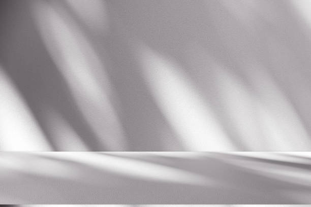 istock Studio style background wall decoration presentation uses white tones. with shadows cast from a nearby window, concept creating a decorative backdrop. 2167503368