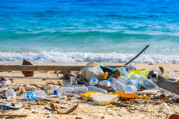 istock Trash, plastic cups and plastic bags at the beach. environmental problem concept and healing the world 2167503423