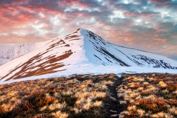istock View of the grassy hills 2167504254