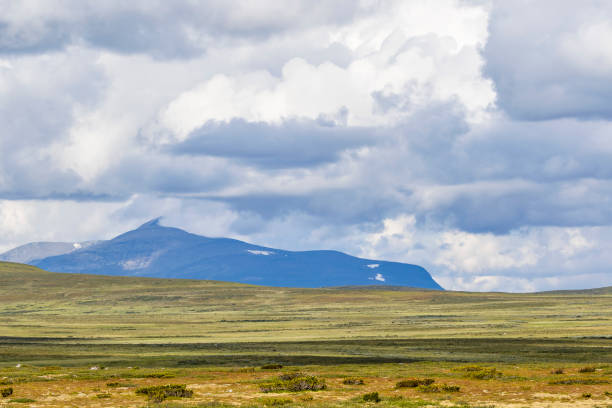istock Heath landscape view with a mountain 2167505478