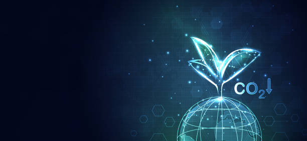istock Reduce CO2 or carbon concept. globe ball with tree for ESG, co2, and net zero. World sustainable environment concept. green business from renewable energy. vector design. 2167507760