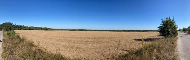 istock Panorama of a field after harvest 2167511021