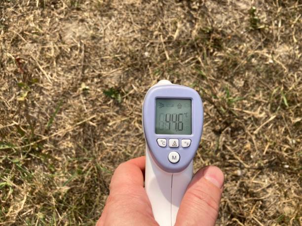 istock Measuring temperature with a non-contact thermometer 2167512249