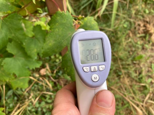 istock Measuring temperature with a non-contact thermometer 2167512261