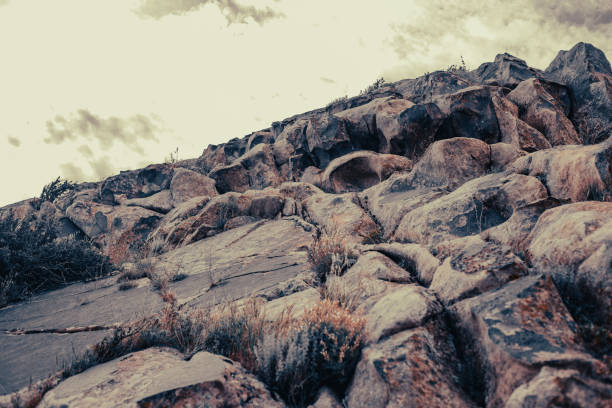 A rocky hillside with a few plants growing on it. The plants are small and scattered, and the rocks are large and jagged. Scene is rugged and wild, with a sense of untamed nature