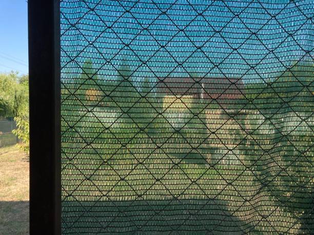 istock Installation of mosquito netting 2167513649