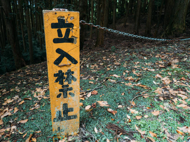 istock Japanese 