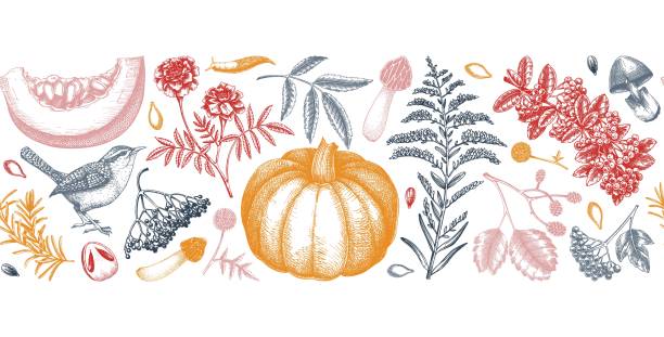Autumn seamless ribbon Warm autumn ribbon in sketch style. Fall leaves, pumpkins, berries, mushrooms hand-drawn vector illustrations. Thanksgiving seamless pattern. NOT AI generated alder tree drawing stock illustrations