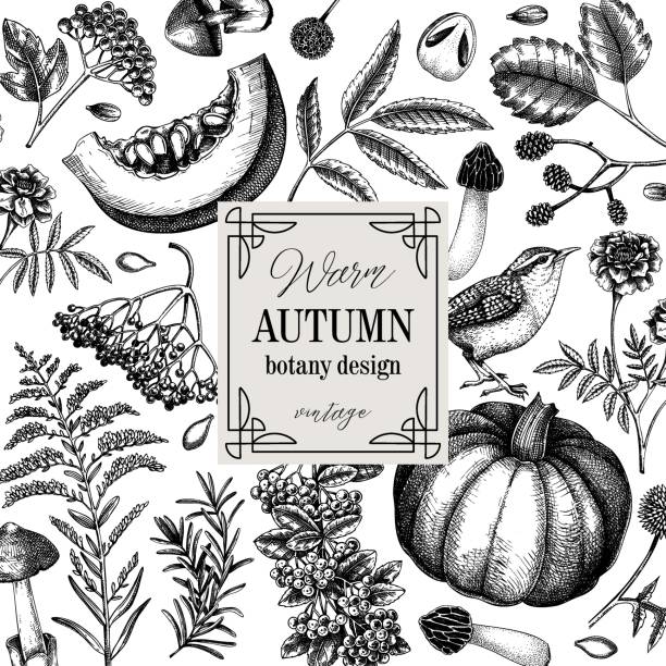 Hand-drawn autumn card design Vintage autumn frame design. Thanksgiving background. Fall leaves, pumpkins, berries, mushrooms sketches. Hand-drawn vector illustration. NOT AI generated alder tree drawing stock illustrations