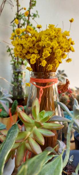 istock Vase whith  yellow flowers 2167526787