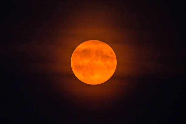Full super Moon in the dark August  night sky. A super moon is full moon that occurs when the moon is within 90% of its closest approach to Earth. The term Blue Moon refers to the third full moon in a season. The moon is seen from Zwolle in Overijssel, Netherlands.