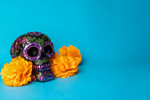 istock A black skull featuring ornate metallic flowers and marigolds on a vivid blue backdrop 2167531084