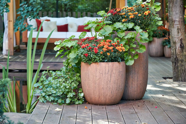 istock veranda with garden swing is decorated with fall decor and chrysanthemums 2167531644