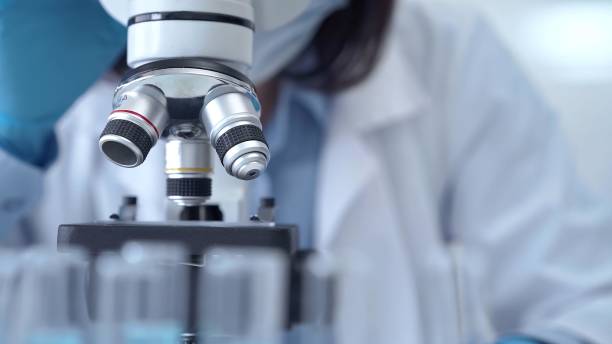 istock Scientist using microscope in laboratory. Close-up of a researcher's hands adjusting a modern microscope in a lab setting 2167532221