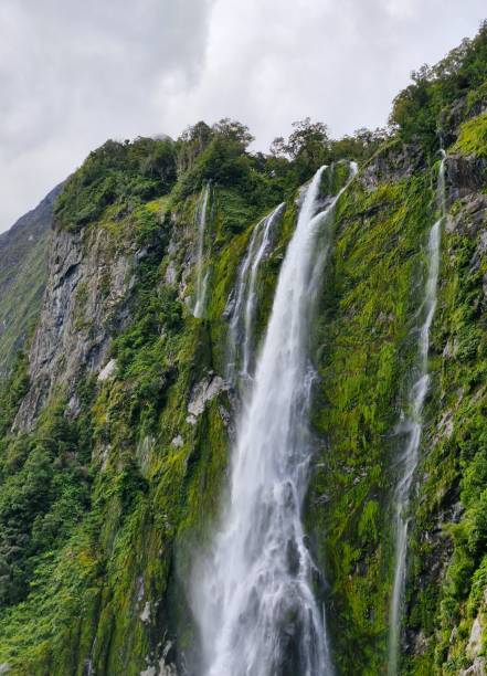 istock A Waterfall In Milford Sound 2167535358