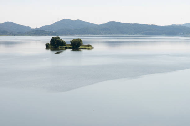 tranquil landscape in the rural area