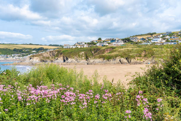 istock Coastal flowers at Bigbury on Sea in Devon 2167538925