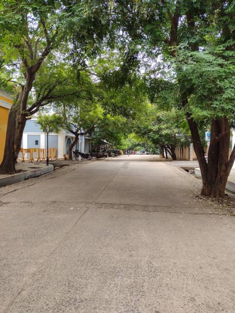 istock Streets of Pondicherry 2167541094