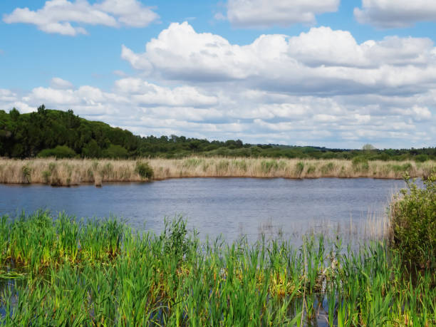 Photo of the Lagoa de Albufeira lagoon in the Setúbal district, South of Portugal.