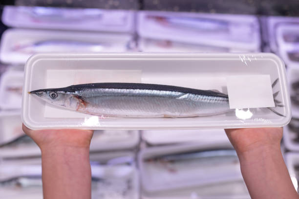 istock Child's hand holding a pack of pacific saury 2167541733