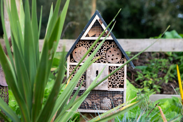 istock Insect hotel in the countryside 2167545366