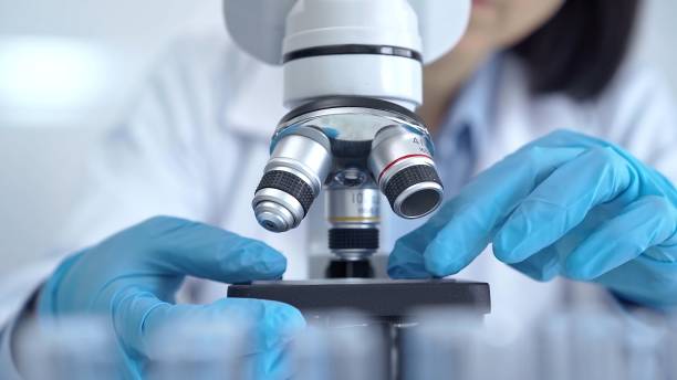 istock Scientist using microscope in laboratory. Close-up of a researcher's hands adjusting a modern microscope in a lab setting 2167546042