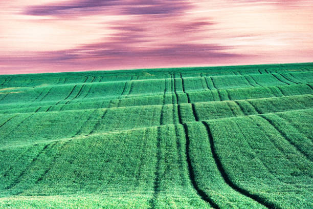 Abstract rural landscape with agricultural fields on spring hills. South Moravia region, Czech Republic
