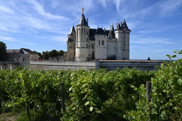 Saumur, France, august 15, 2024 : Saumur Castle with vineyards in the foreground