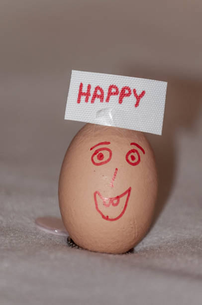 Creative image of eggs with hand-drawn happy and sad faces using a marker. The contrasting emotions depicted on the eggs symbolize a range of feelings, making this photo perfect for themes related to mood, emotions, mental health, or social commentary. Ideal for use in blogs, articles, advertisements, or social media posts focused on emotional well-being, humor, or personal development