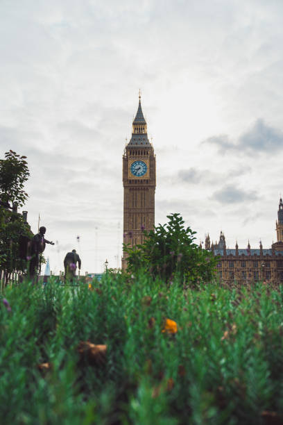 View of Big Ben through grass in London