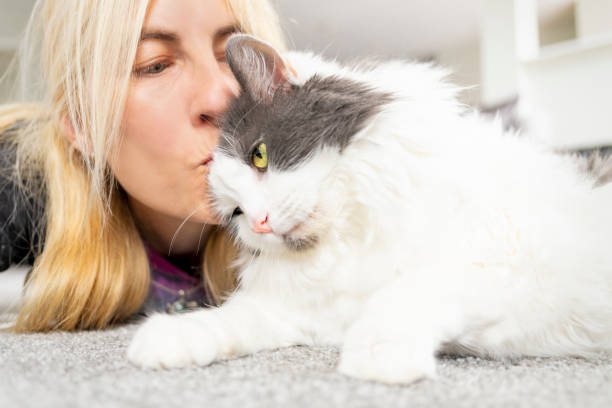 istock Woman Kissing Cat on Head 2167555352