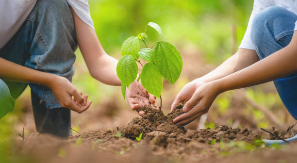 istock Two people are planting a tree together 2167557592