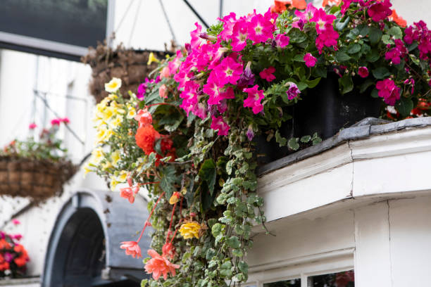 istock Decorative flowers outside a village pub 2167560589