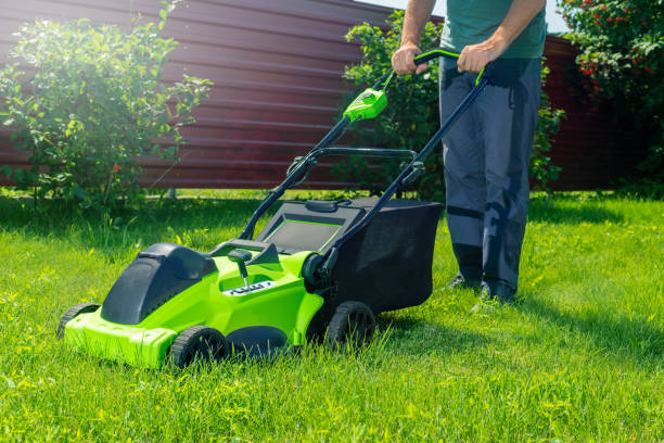 istock mowing the grass. man using a lawn mower in him backyard at summer sunny day. 2167565201