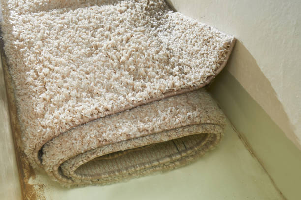 istock Dirty carpet soaking in special chemical solution in carpet cleaning service 2167567071