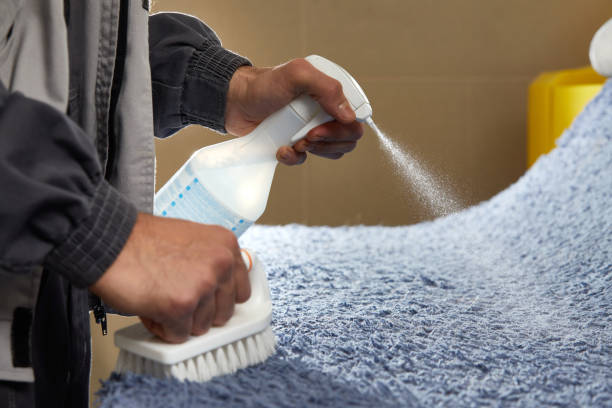 istock Man using spray to remove stain from carpet in carpet cleaning service 2167568527