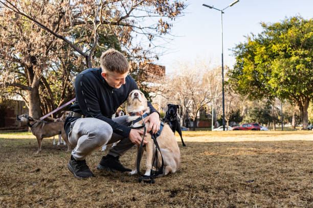istock Young man embracing dog in a public park 2167569555