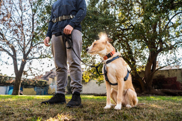 istock Dog with its owner in a public park 2167569710